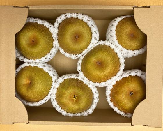 【予約】福岡の幸水梨　1.8kg(6～8玉)　※出荷時期：7月下旬～8月上旬