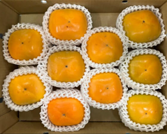 【予約】たねなし柿　1.8kg(9～12個)　※出荷時期：10月中旬～10月下旬