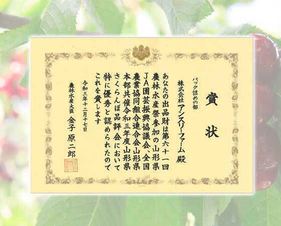 【予約】農林水産大臣賞受賞 山形県産 さくらんぼ 秀品 Lサイズ以上 600g