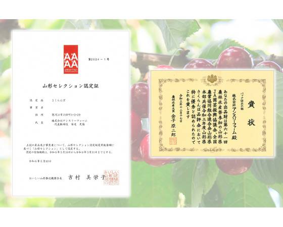 【予約】農林水産大臣賞受賞 山形県産 さくらんぼ 特秀品 Lサイズ以上 300g