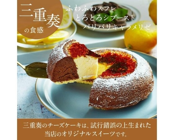 focetta 絶品 天空のチーズケーキ＆ショコラ 15cm