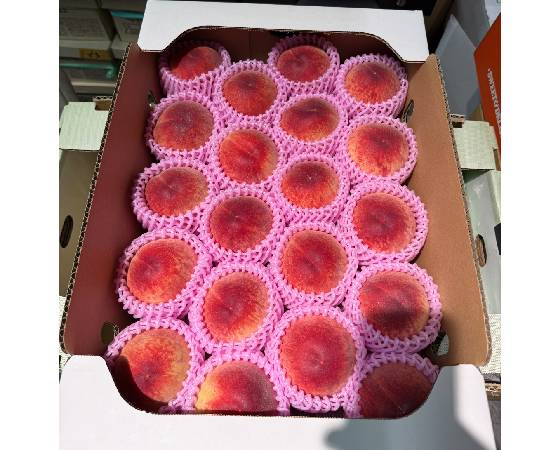 福島県産　ミスピーチ　桃　4.8kg（16~20玉）　※出荷時期：7月中旬～8月中旬