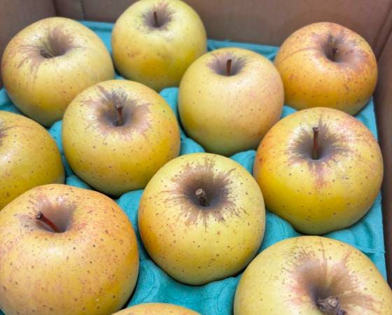 サンはるか　りんご・家庭用（5kg・30玉)【いっちゃん林檎農園】