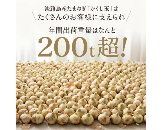淡路島たまねぎ「かくし玉」 3kg（8～15個）