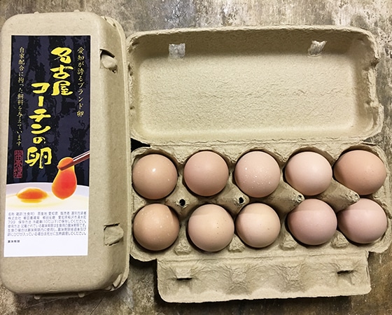 愛知が誇るブランド卵　名古屋コーチンの卵【20個入り(破卵保障2個含む)】