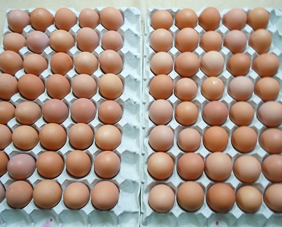 こだわりのエサを食べてうまれた櫛田養鶏場のおいしい赤卵【80個入り(破卵保障10個含む)】
