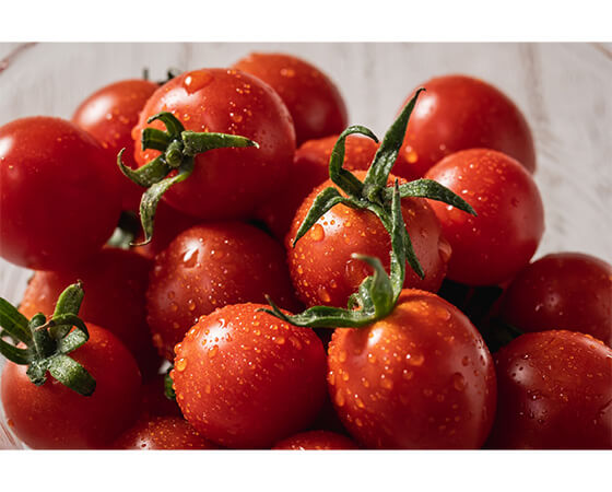 プチッと弾ける果汁　特別栽培「宮トマト」１kg