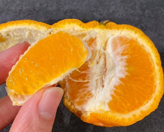 ポンカン 3kg【みかんのみっちゃん農園】