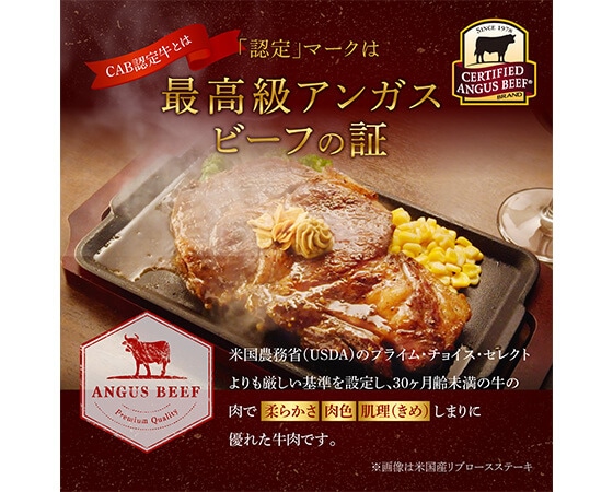 【いきなり！ステーキ】冷凍いきなりワイルドステーキ1.5kg！(300g×５枚)