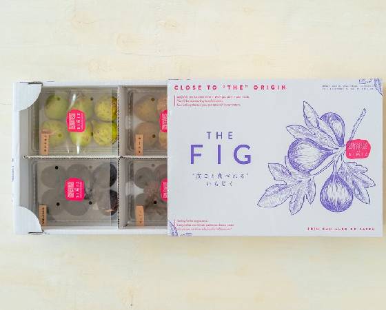 【予約】THE FIG　～皮ごと食べれるいちじく～　300g×4パック　約1.2kg　※出荷時期：8月～