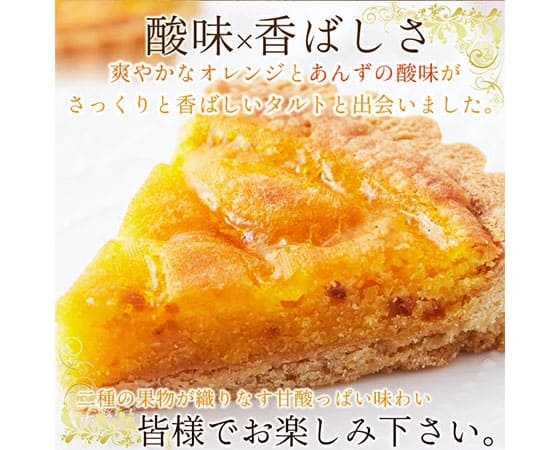 【ネコポス出荷】甘酸っぱいオレンジとあんずのタルトケーキ5号