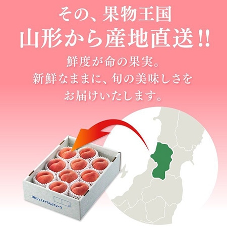 【予約】白桃　品種おまかせ 秀　3kg　7～12玉/かため果肉多め　※出荷時期：9月上旬～9月下旬