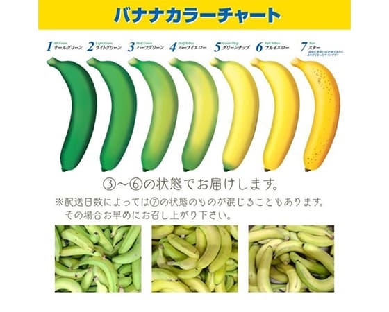 【訳あり】 追熟バナナ エクアドル産 1.5kg