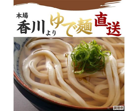【大容量】レンジでチンするカレーうどん 30食