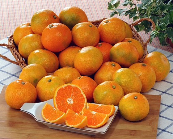 【予約】ゆら早生みかん「天」 3kg(35～55個) 　※出荷時期：10月中旬～10月下旬