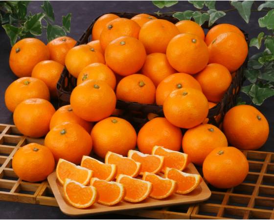 【予約】有田小みかん 3kg　※出荷時期：11月中旬～12月中旬