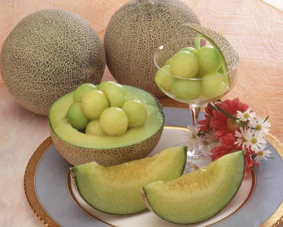 【予約】アンデスメロン 1.6kg(2個)　出荷時期：5月中旬～下旬