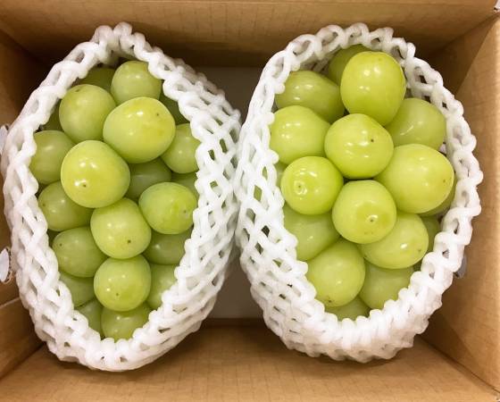 【予約】シャインマスカット　700g（2房）　※出荷時期：8月上旬～下旬