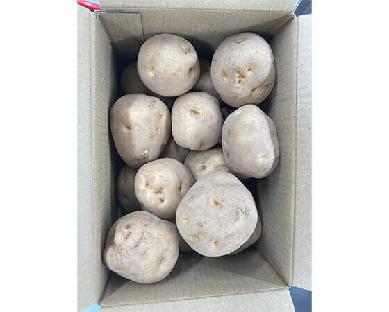 【予約】きたあかり　2kg　※出荷時期：10月中旬～10月下旬