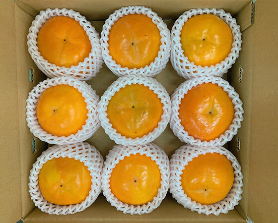【予約】富有柿　2kg(7～9個)　※出荷時期：11月中旬～11月下旬