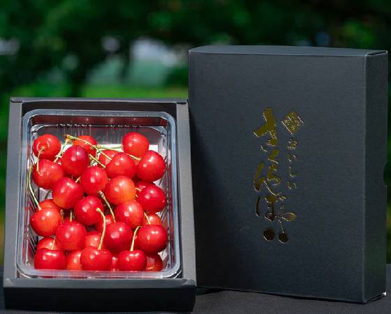【予約】農林水産大臣賞受賞 山形県産 さくらんぼ 特秀品 Lサイズ以上 300g