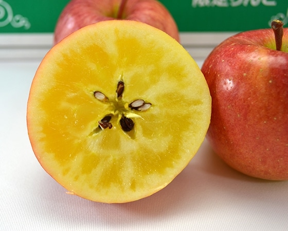 【予約】こみつりんご　約2kg(7-11玉）　※出荷時期：～12月下旬