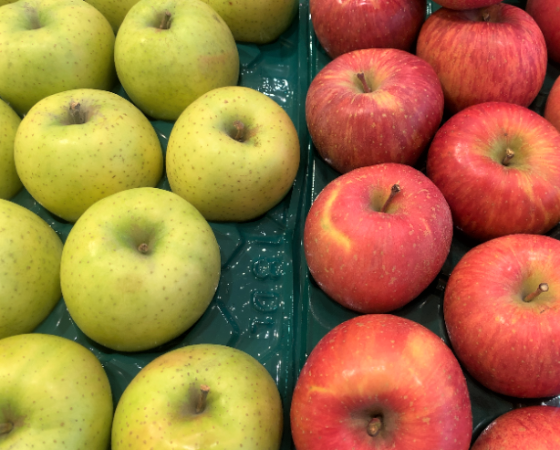 王林＆さんふじ　りんご食べ比べ　約5kg（合計18玉)　※出荷時期：12月初旬～3月上旬