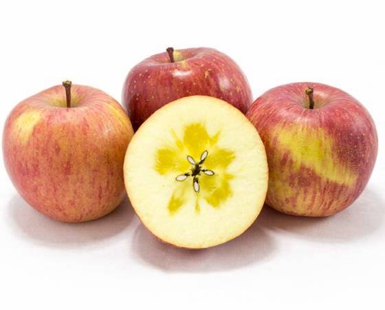 葉とらずサンふじりんご・家庭用（3kg・7～11玉)【いっちゃん林檎農園】