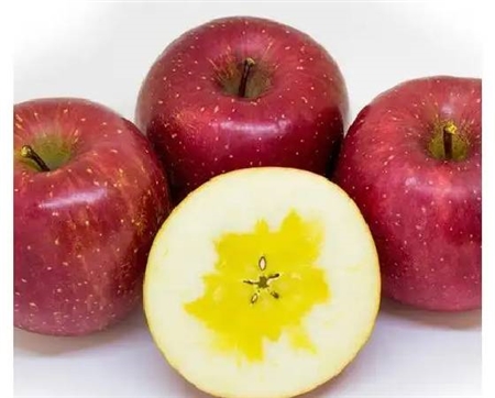 コスモふじ　りんご・家庭用（3kg・7～12玉)【いっちゃん林檎農園】