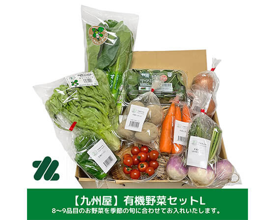 【定期便】有機野菜セットL　おまかせ８～９品
