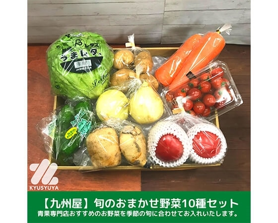 【定期便】旬のおまかせ野菜10種セット