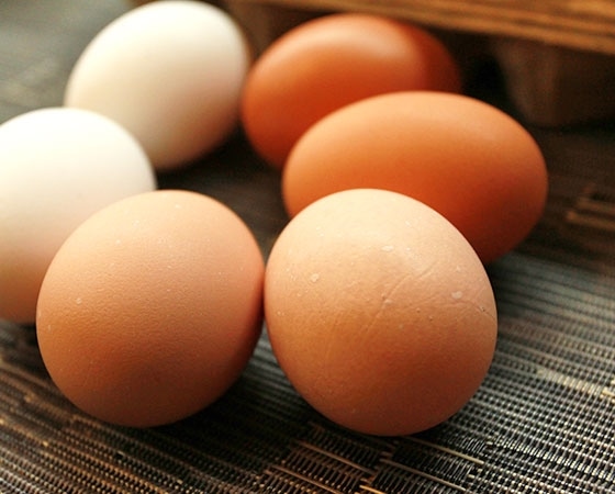 櫛田養鶏場の三種の卵　お試し食べ比べセット10個×3種　【30個入り(破卵保障3個含む)】