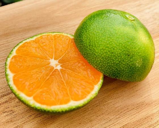 不意打ちみかん　5kg(65個前後）　【みかんのみっちゃん農園】