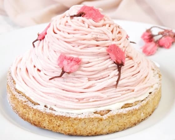 大人の和スイーツ さくらちーずたると 12cm