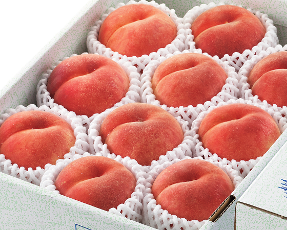 【予約】白桃　品種おまかせ 秀　3kg　7～12玉/かため果肉多め　※出荷時期：9月上旬～9月下旬