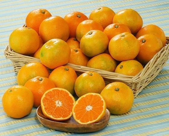 【予約】ゆら早生みかん「天」 3kg(35～55個) 　※出荷時期：10月中旬～10月下旬