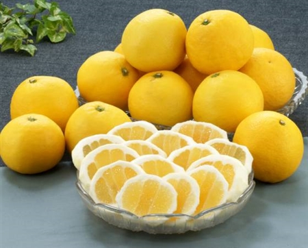 【予約】日向夏　2.2kg(11～13個)　JAみやざき ※出荷時期：3月中旬～下旬