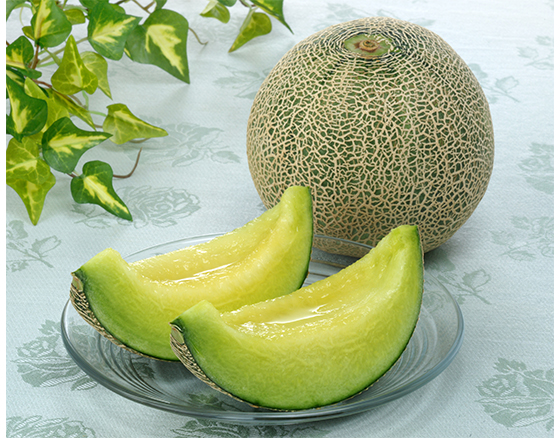 【予約】アンデスメロン 1.6kg(2個)　出荷時期：5月中旬～下旬