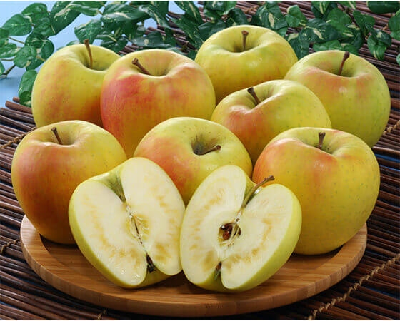 【予約】名月（蜜入りりんご）　2.7kg(7～12個)　※出荷時期：11月中旬～11月下旬