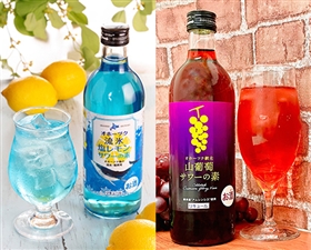 サワーの素2種4本詰合せ(塩レモンサワー×2、山葡萄サワー×2)