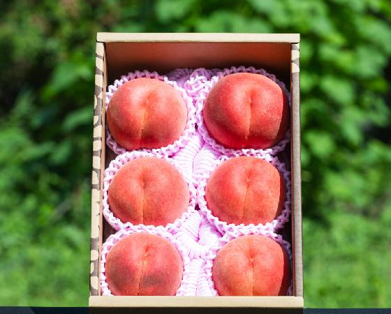 【予約】山形県産 柔らかい白桃 秀品 約2kg　※出荷時期：8月中旬～10月上旬
