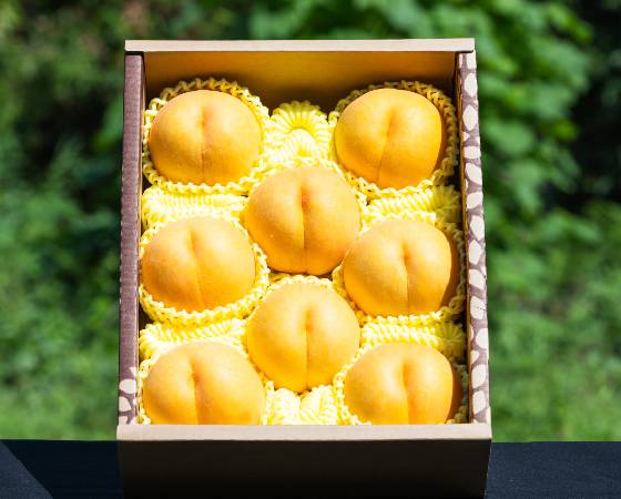 【予約】山形県産 硬い黄桃 秀品 約3kg　※出荷時期：9月10日～10月上旬