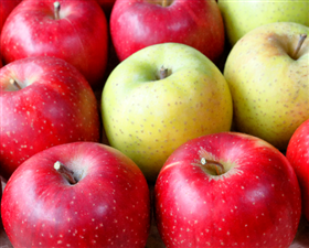 王林＆さんふじ　りんご食べ比べ 約2kg（合計8玉)　※出荷時期：12月初旬～3月上旬