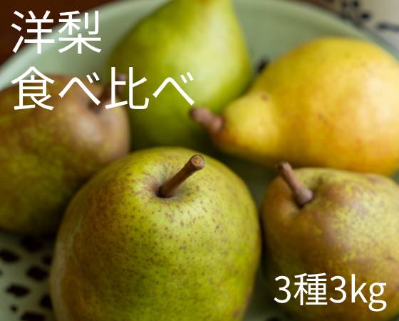 【予約】洋梨の食べ比べ　洋梨3種　3kg（12～14玉）　※出荷時期：9月下旬～11月下旬