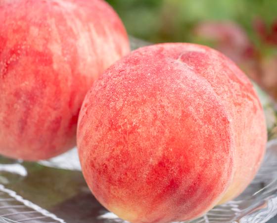 福島県産　ミスピーチ　桃　2.4kg（9玉）　※出荷時期：7月中旬～8月中旬