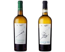【イタリア産 白ワイン 飲み比べセット】ファットリア パガーノ 2本セット