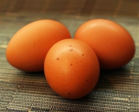 こだわりのエサを食べてうまれた櫛田養鶏場のおいしい赤卵【30個入り(破卵保障3個含む)】