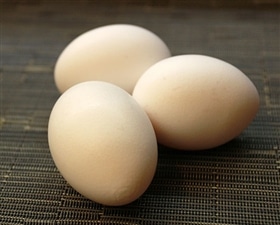 こだわりのエサを食べてうまれた櫛田養鶏場のおいしい白卵【30個入り(破卵保障3個含む)】