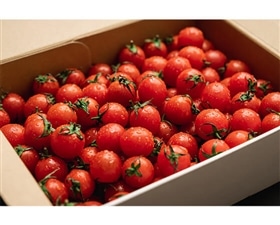 プチッと弾ける果汁　特別栽培「宮トマト」１kg