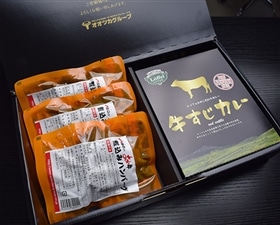 プレミアムな水 もの 暮らし あか牛煮込みハンバーグと国産牛すじカレーセット プレミアムモール